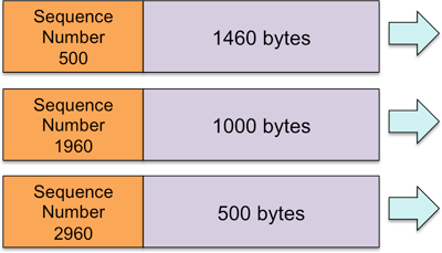 TCP sequence numbers TCP sequence numbers